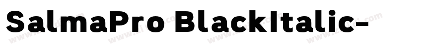 SalmaPro BlackItalic字体转换 SalmaPro BlackItalic字体转换